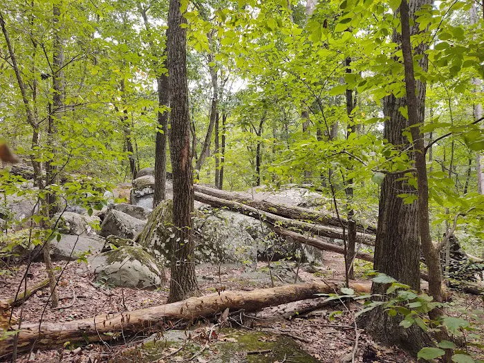 Gifford Pinchot State Park Campground Picture 8