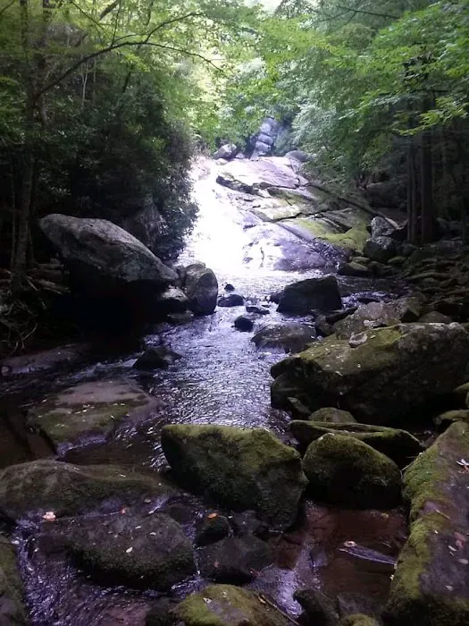 Ben Franklin RV Park Picture 3