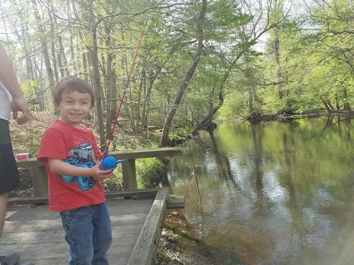 Holiday Park Campground Picture 10