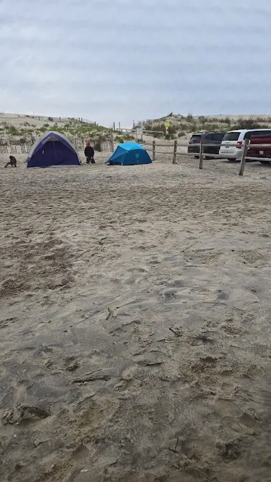 Assateague State Park Youth Group Campsites Picture 10