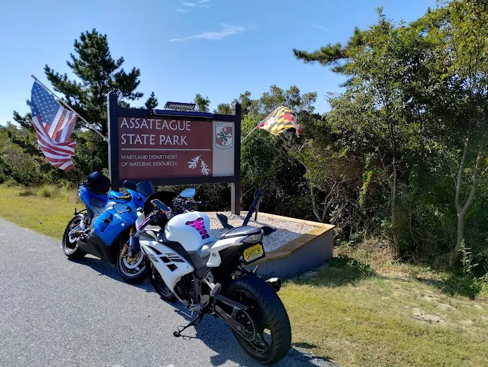 Assateague State Park Youth Group Campsites Picture 9