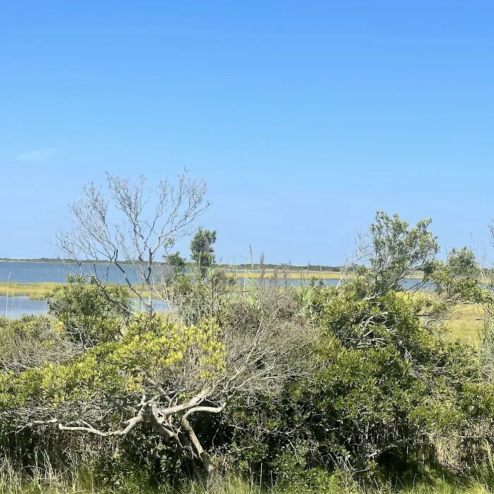 Assateague State Park Youth Group Campsites Picture 8