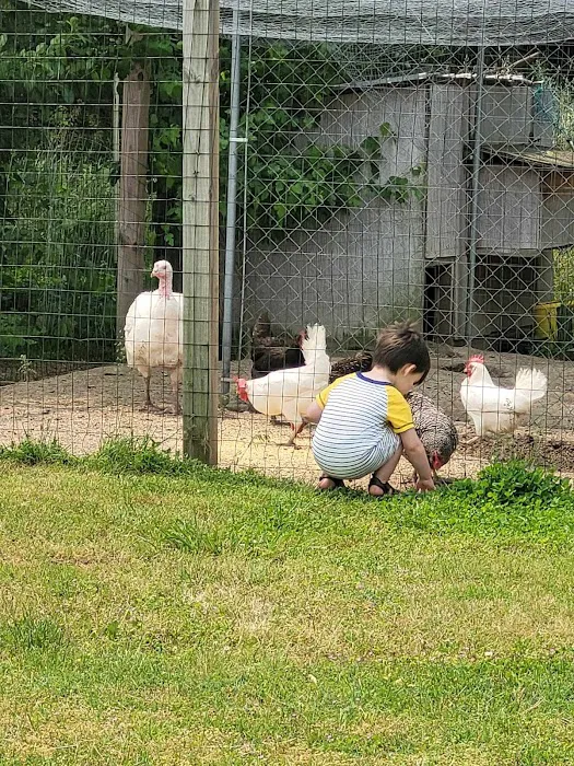 Durbin Homestead Picture 5