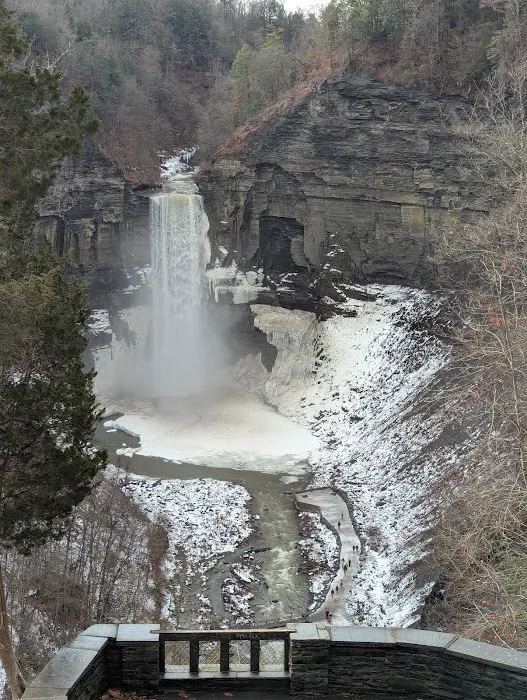 Taughannock Falls State Park Cabin Campground Picture 5