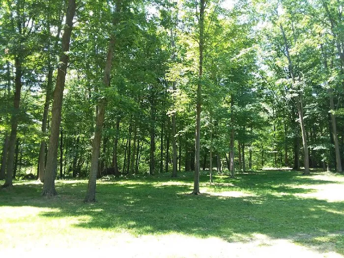 CREEKVIEW CAMPSITES Picture 7