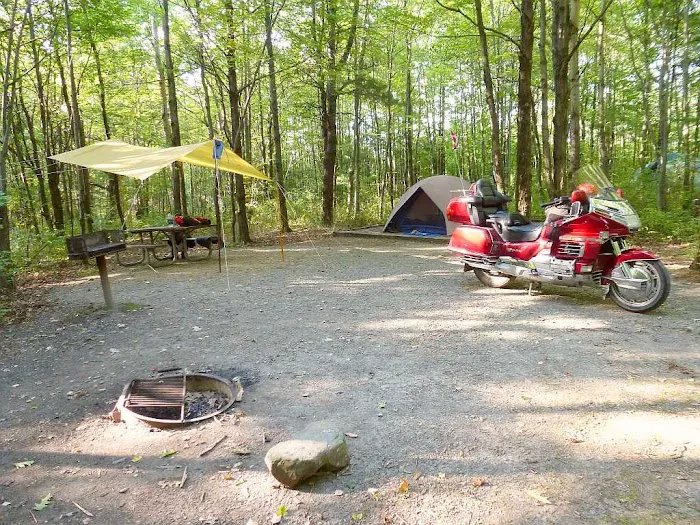 Blueberry Patch Campground Picture 1