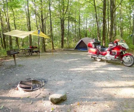 Blueberry Patch Campground