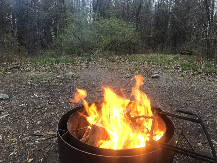 Blueberry Patch Campground Picture 8