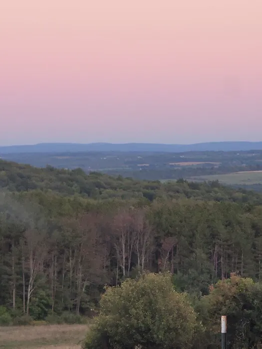 Blueberry Patch Campground Picture 6