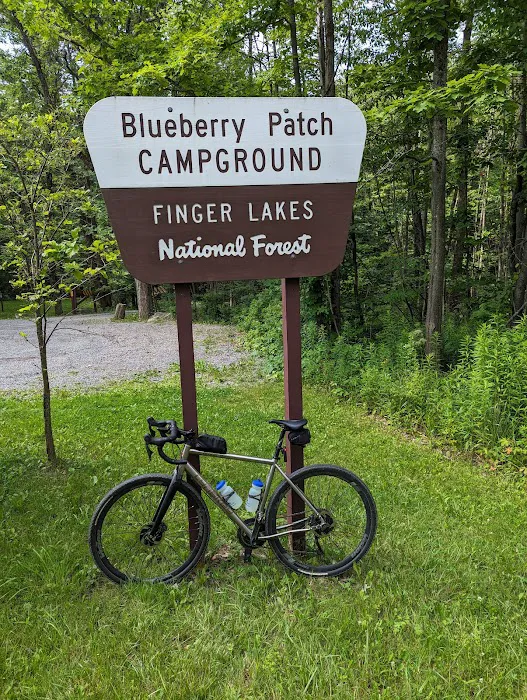 Blueberry Patch Campground Picture 3