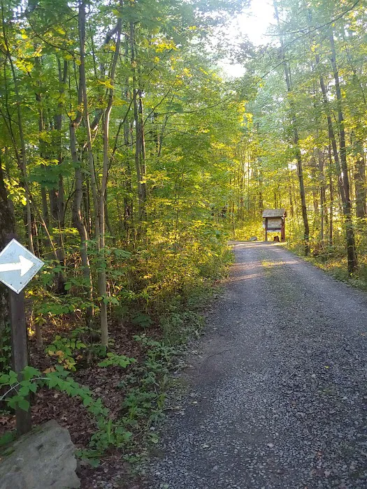 Blueberry Patch Campground Picture 10