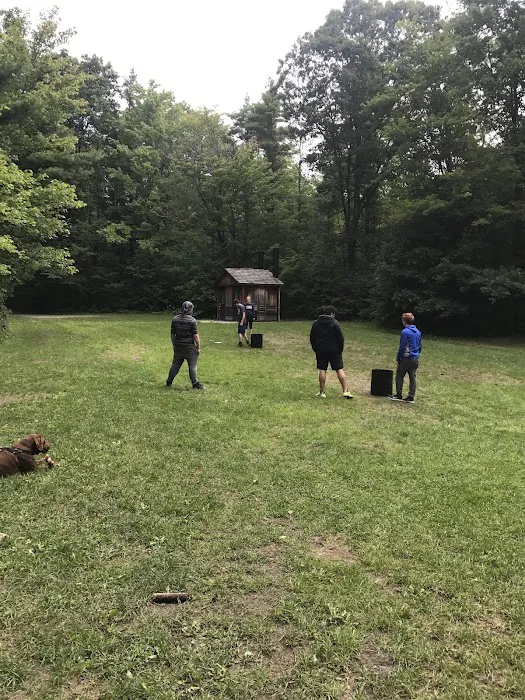 Potomac Group Campground Picture 8