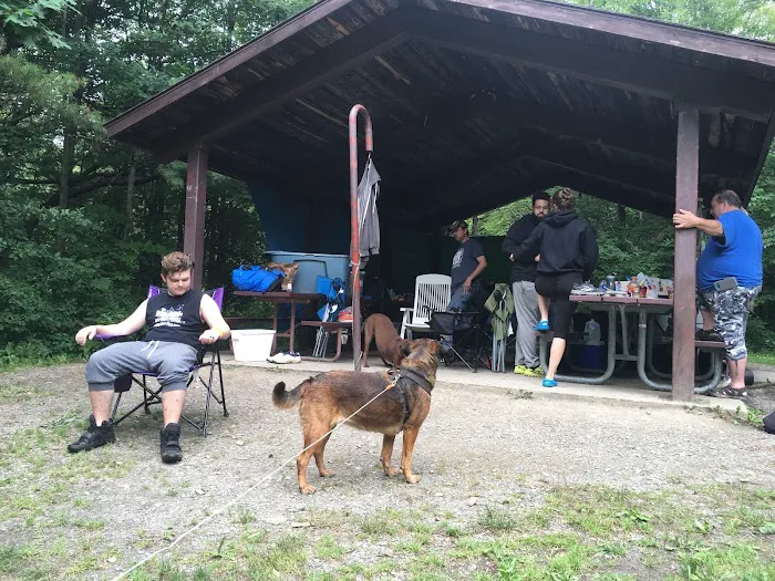 Potomac Group Campground Picture 3