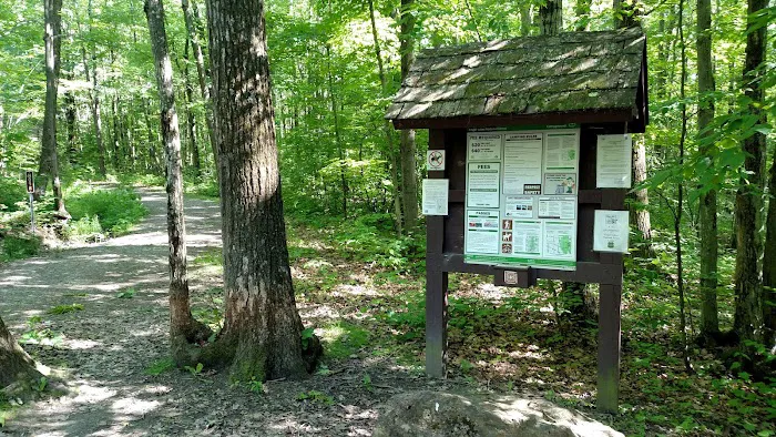 Potomac Group Campground Picture 9