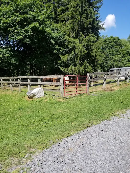 Backbone Horse Camp Picture 5