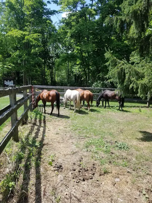 Backbone Horse Camp Picture 6