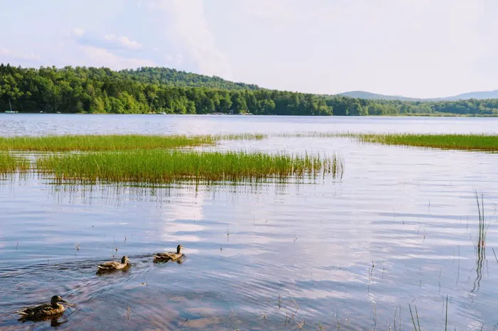 Backbone Horse Camp Picture 1