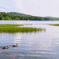 Backbone Horse Camp ico