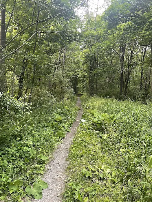 Backbone Horse Camp Picture 8