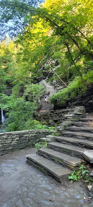 Watkins Glen State Park Six Nations Camping Area Picture 2