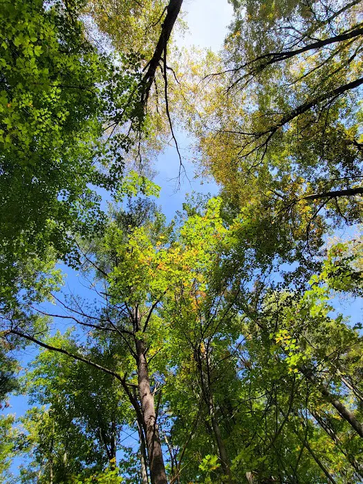 Watkins Glen State Park Six Nations Camping Area Picture 10