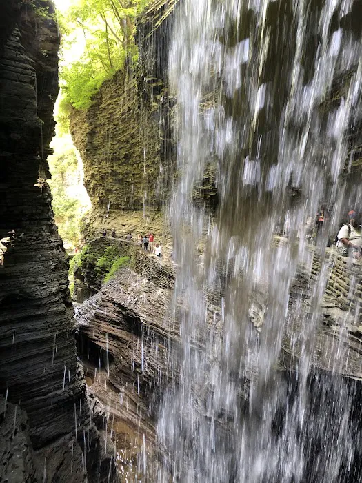 Watkins Glen State Park Six Nations Camping Area Picture 3