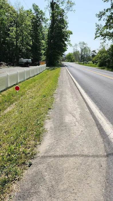 OFF THE BEATEN PATH OF WATKINS GLEN Campground Picture 4