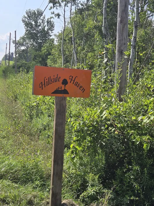 Hillside Haven Campground Picture 1