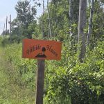 Hillside Haven Campground