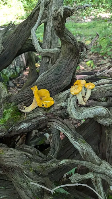 Hillside Haven Picture 1