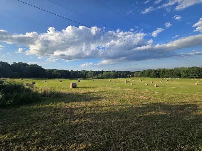 Hillside Haven Picture 6