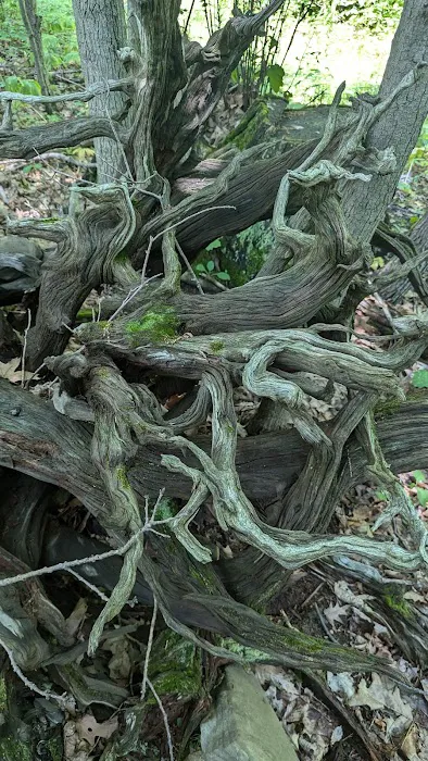 Hillside Haven Picture 2