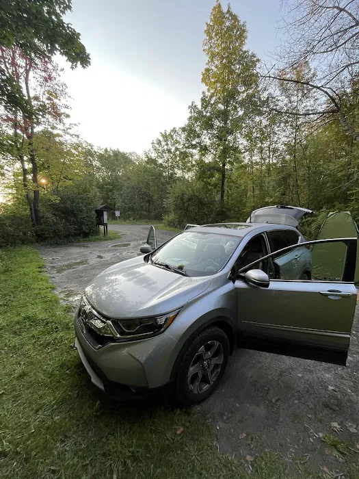 Foster pond camping area Picture 9