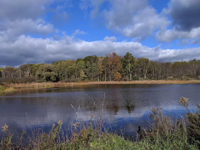 Foster pond camping area Picture 8