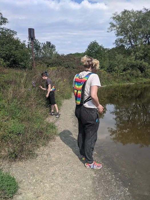 Foster pond camping area Picture 1