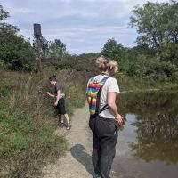 Foster pond camping area ico