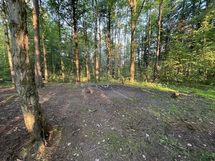 Foster pond camping area Picture 7