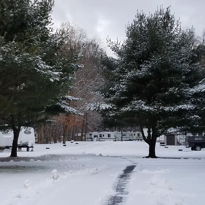 Twin Streams Campground Picture 6