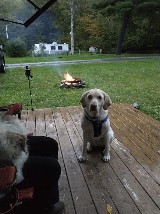 Twin Streams Campground Picture 4