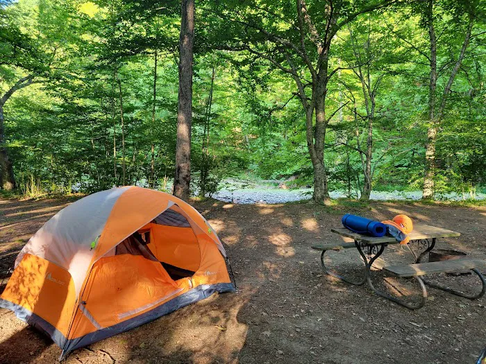 Twin Streams Campground Picture 9