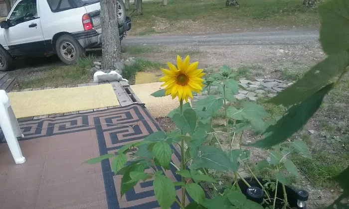 Scenic View Campground LLC Picture 2