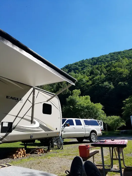 Stony Fork Creek Campground Picture 3