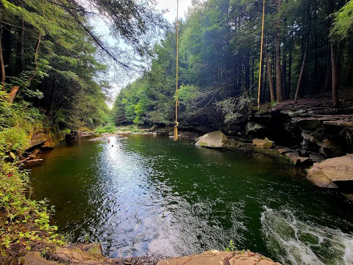 Stony Fork Creek Campground Picture 1