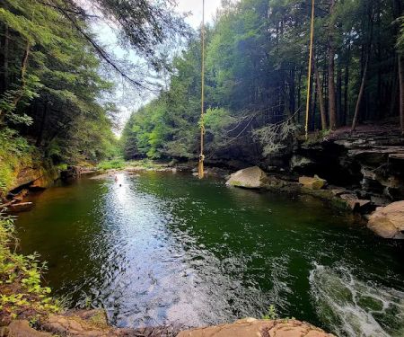 Stony Fork Creek Campground
