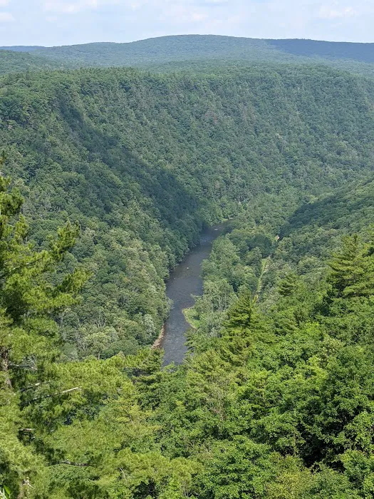 Stony Fork Creek Campground Picture 10