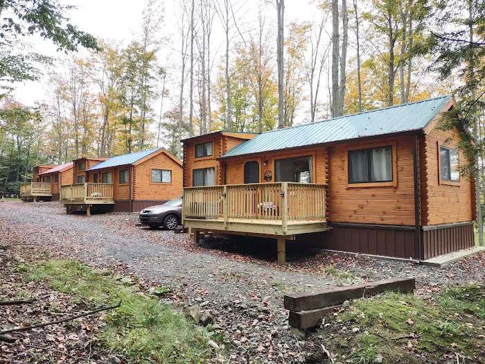 Triple D Cabins Picture 7