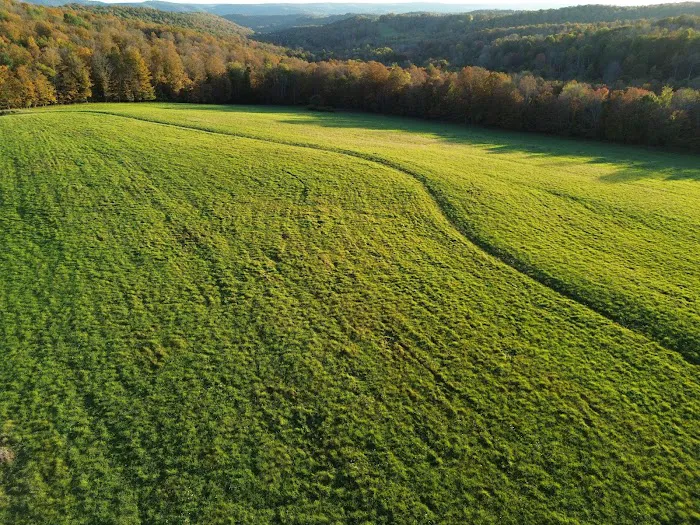 Triple D Cabins Picture 8