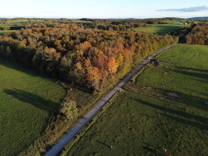 Triple D Cabins Picture 5