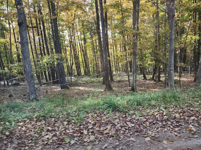 Triple D Cabins Picture 3