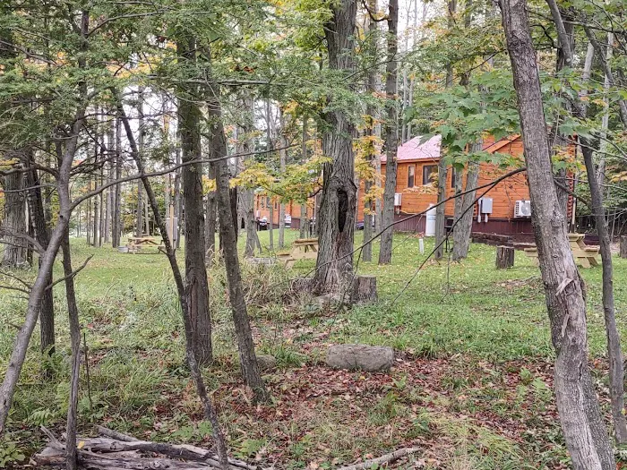 Triple D Cabins Picture 1